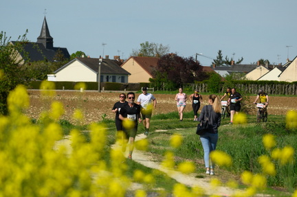 Gazelles 2024 (369) © Y Saunier